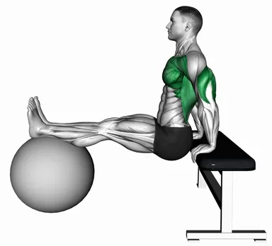 Bench Dip on Stability Ball demo