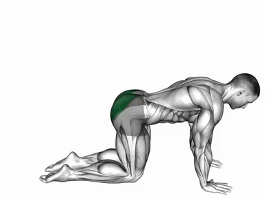 Donkey Kick demo