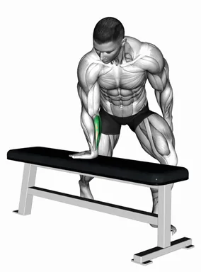 Bent over Single Arm Wrist Flexors Stretch demo