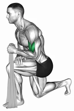 Biceps Squeeze with Towel demo
