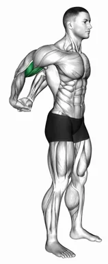 Biceps Stretch Behind The Back demo