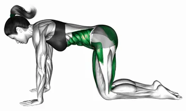 Bird Dog Crunch Yoga Pose demo