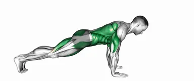 Bird Dog Push-Up demo