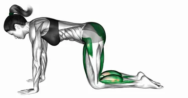 Bird Dog Variation 4 Yoga Pose demo
