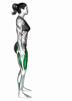 Bodyweight Arms Out Double Squat to Single Squat demo