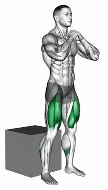 Bodyweight Box Squat demo