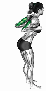 Bodyweight Double Triceps Kickback demo