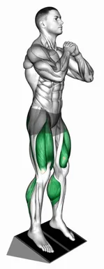Bodyweight Elevated Heel Front Squat demo