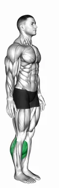 Bodyweight Explosive Calf Raise demo