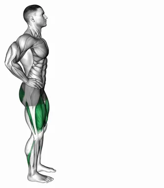 Bodyweight Forward Lunge (Smaller Stance Upright Torso) demo