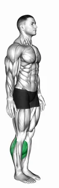 Bodyweight Isometric Calf Raise Hold demo
