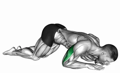 Bodyweight Kneeling Triceps Extension demo