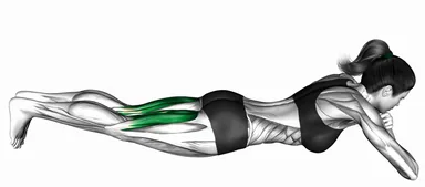 Bodyweight Lying Alternate Leg Curl demo