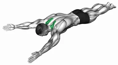 Bodyweight Lying Prone Ys demo