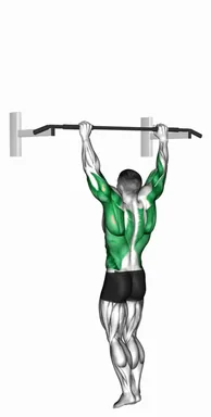 Bodyweight Muscle-up (VERSION 2) demo