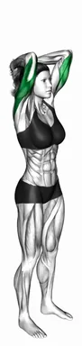 Bodyweight Overhead Triceps Extension demo