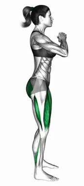펄스 스쿼트 자세 시연