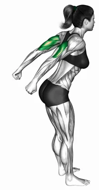 Bodyweight Pulsing Triceps Kickback demo