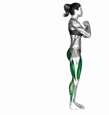 Bodyweight Reverse Lunge High Knee demo
