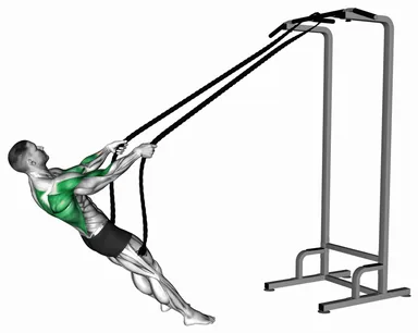 Bodyweight Rope Inverted Row demo