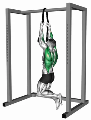 Bodyweight Rope Pull-up demo