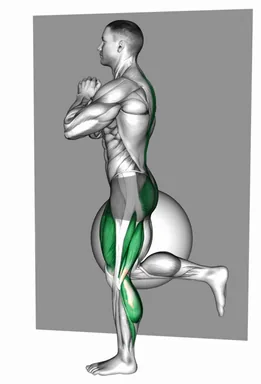 Bodyweight Single Leg Deadlift against Ball (Demo 2) demo
