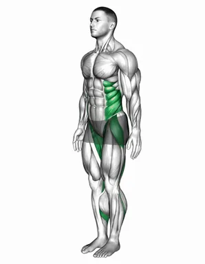 Bodyweight Single Leg Deadlift Toe Touch demo