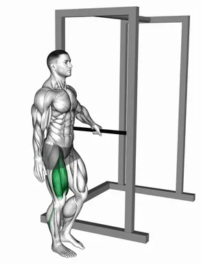 Bodyweight Single Leg Squat with Support demo