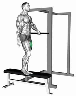 Bodyweight Single Leg Step Down with Support demo