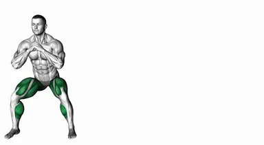 Bodyweight Squat Side Shuffle demo