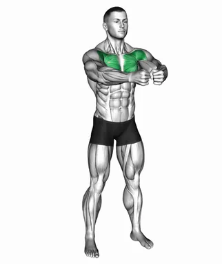 Bodyweight Standing Alternate Chest Fly demo