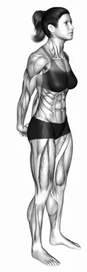 Bodyweight Standing Back Stretch demo