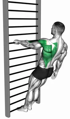 Bodyweight Standing Close Grip One Arm Row demo