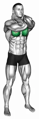 Bodyweight Standing Elbow Touches (Hands on Neck) demo