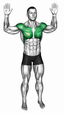 Bodyweight Standing Fly demo