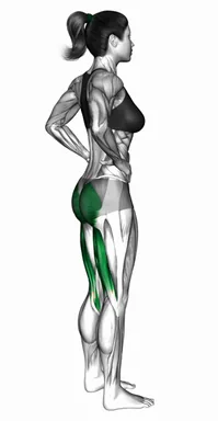 맨몸 스탠딩 굿모닝 자세 시연