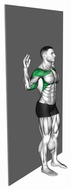 Bodyweight Standing Military Press Wall Supported demo