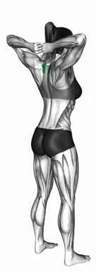 Bodyweight Standing T-Spine Press demo