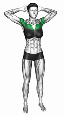 Bodyweight Standing Triangle Fly demo