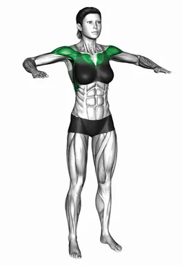 Bodyweight Standing W Pose demo