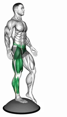 보수볼 밸런스 싱글 레그 스쿼트 자세 시연