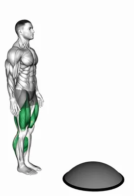 Bosu Ball Step-Up High Knee demo