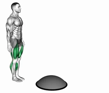 Bosu Ball Step-Up Single Leg Deadlift demo