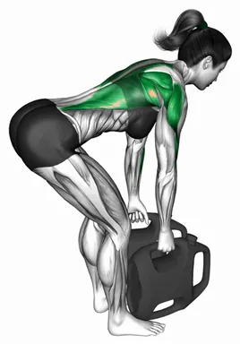 Bottle Weighted Bent Over Row demo