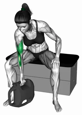 Bottle Weighted Concentration Curl demo