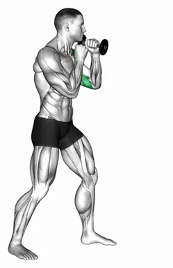 Boxing Jab (with Dumbbell) demo