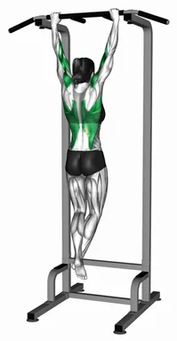 Brachialis Pull up demo