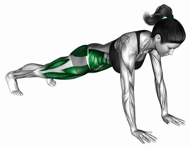 브릿지 마운틴 클라이머(크로스 바디) 자세 시연