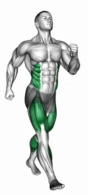 Brisk Walking demo
