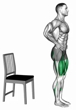 Bulgarian Split Squat with Chair demo